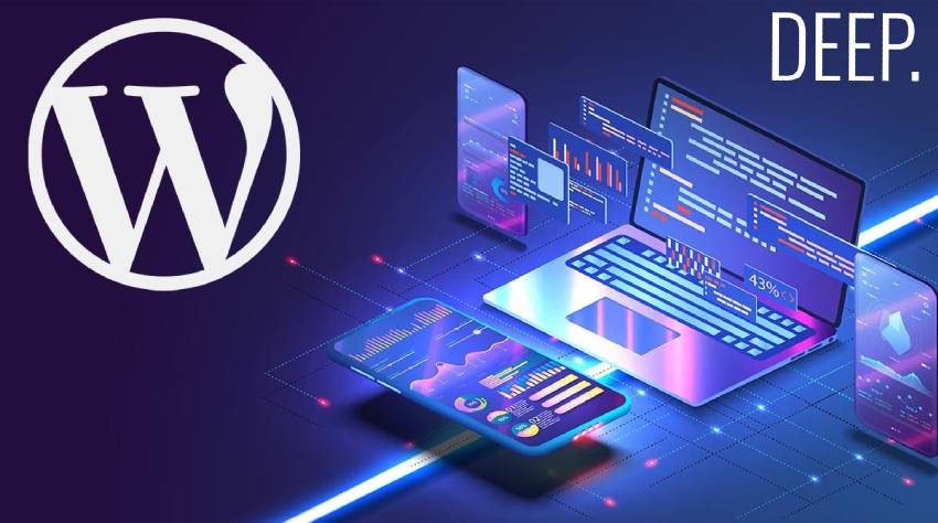use of WordPress for beginners
